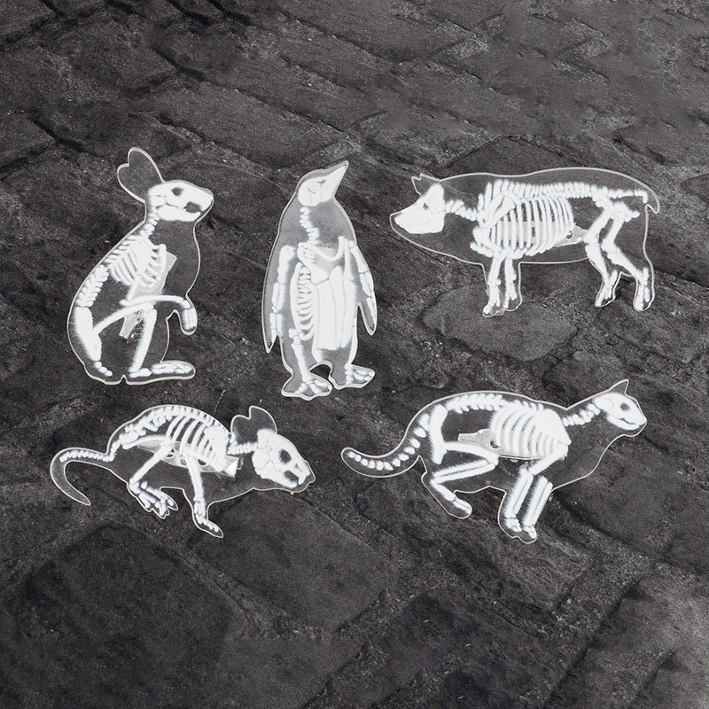 Animal Skeleton Brooch