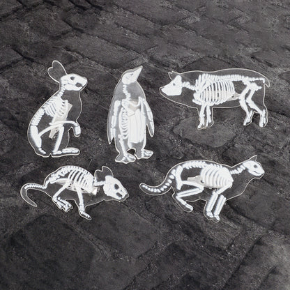 Animal Skeleton Brooch