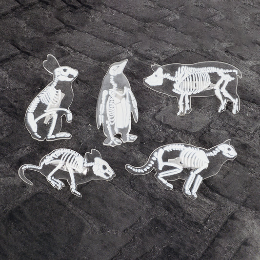 Animal Skeleton Brooch