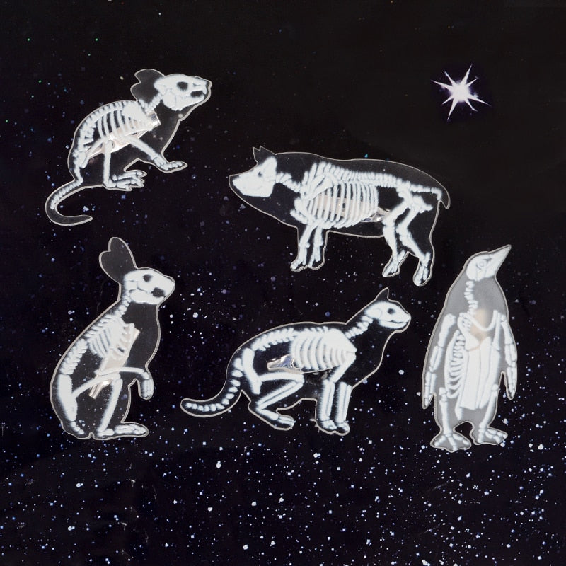 Animal Skeleton Brooch