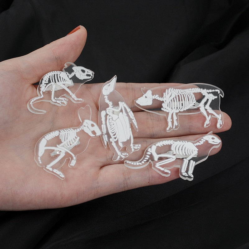 Animal Skeleton Brooch