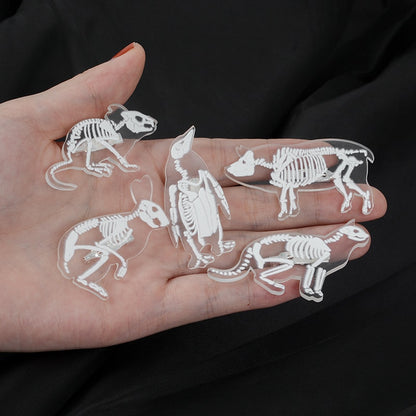 Animal Skeleton Brooch
