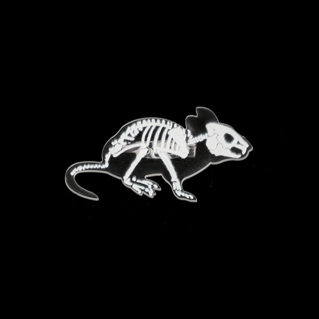 Animal Skeleton Brooch